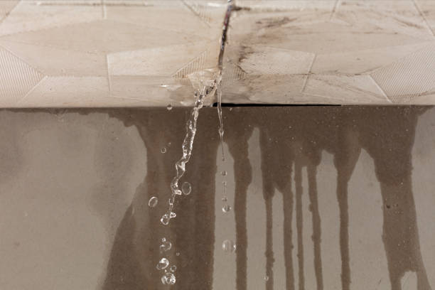 Professional Structural Drying technician working in Haddonfield, NJ
